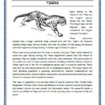 11 Tigers Grade 3 Comprehension Worksheet Comprehension Grade 3