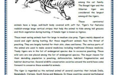 11 Tigers Grade 3 Comprehension Worksheet Comprehension Grade 3