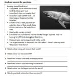 1ST Reading Test 5th Grade Worksheet