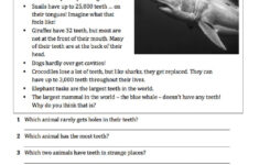 1ST Reading Test 5th Grade Worksheet