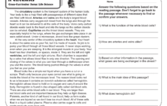 5th Grade Reading Comprehension Worksheets