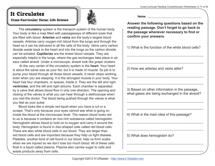 Reading Comprehension Worksheets For 5th Grade