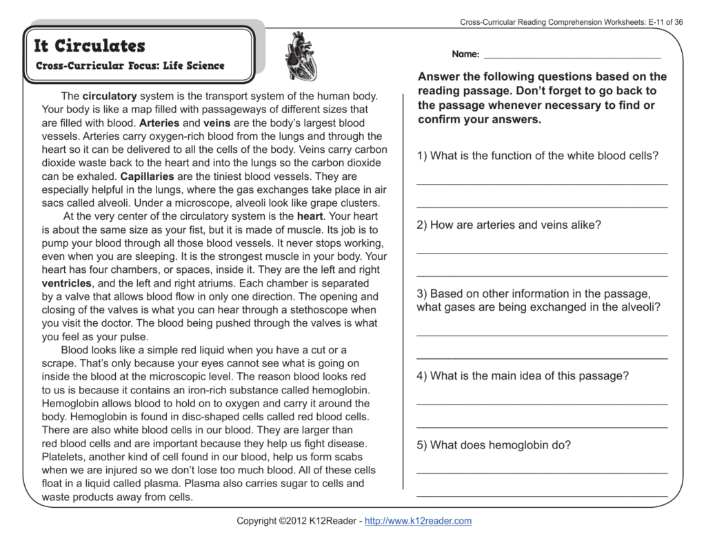 5th Grade Reading Comprehension Worksheets Reading Comprehension