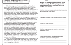 5th Grade Reading Comprehension Worksheets Fifth