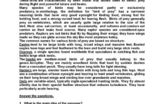 8Th Grade Reading Comprehension Worksheets Db excel