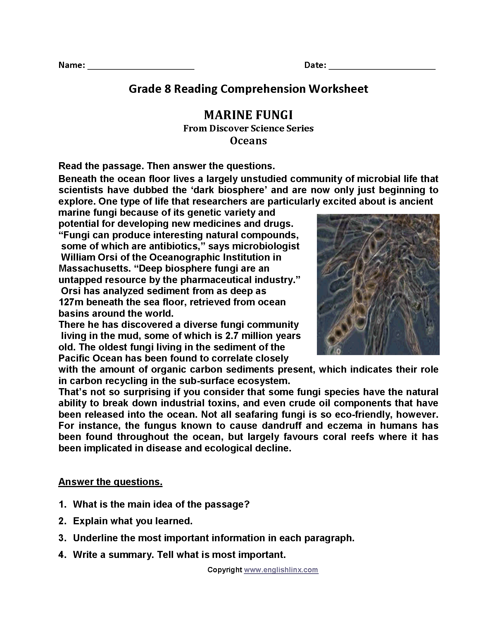 8th Grade Reading Comprehension Worksheets Free Printables Free Math 