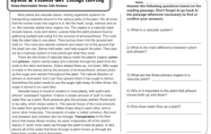 9th Grade Reading Comprehension Worksheets With Answers