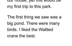 App Shopper K12 Timed Reading Comprehension Practice Education