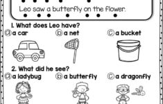 Basic Reading Comprehension Level K PDF