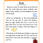 Birds Life Science Reading Comprehension Worksheet Have Fun Teaching