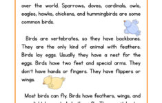 Birds Life Science Reading Comprehension Worksheet Have Fun Teaching