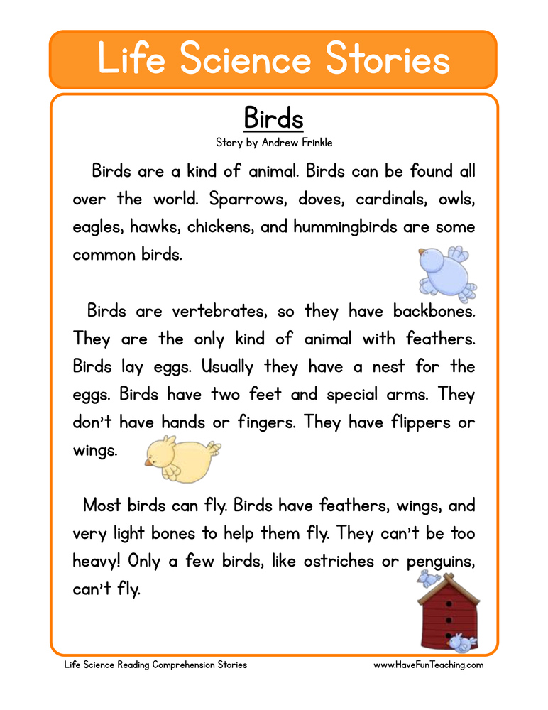 Birds Life Science Reading Comprehension Worksheet Have Fun Teaching