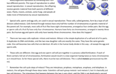 Cell Division Reading Comprehension Worksheet Mitosis And Meiosis