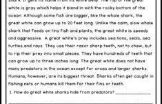 Classroom Freebies Too Summer Reading Passages