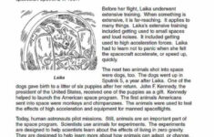 College Level Reading Comprehension Worksheets Worksheets Master