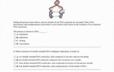 DNA Reading Comprehension Worksheet