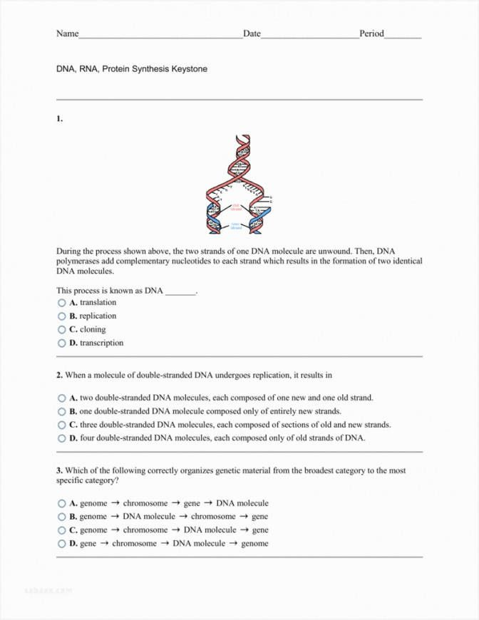DNA Reading Comprehension Worksheet