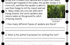 Ejercicio De Exercise 2 LIVEWORKSHEETS Reading Comprehension With