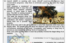 Elephant Ivory Reading Comprehension KEY ESL Worksheet By Karagozian