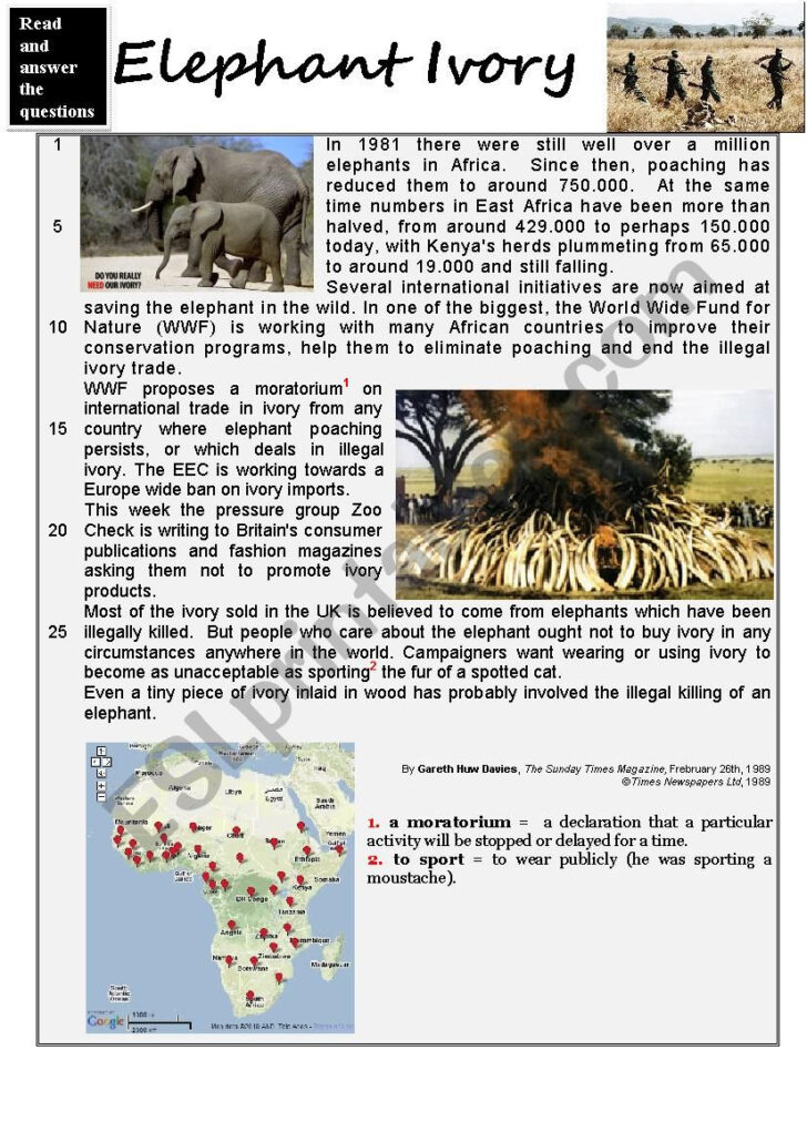 Elephant Reading Comprehension Worksheet Reading Comprehension – NBKomputer