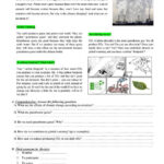 Environment English ESL Worksheets For Distance Learning And Physical