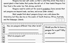 Finding Text Evidence Freebie 2nd Grade Reading Reading
