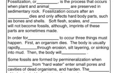 Fossils Worksheet 1