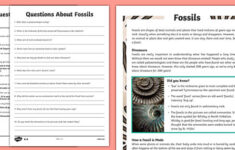 Fossils Worksheet Sedimentary Palaeontology Dinosaurs