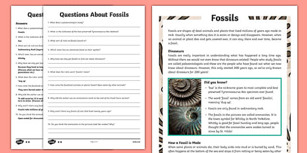 Fossils Reading Comprehension Worksheets
