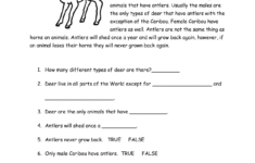 Free Printable Reading Comprehension Worksheets For Middle School