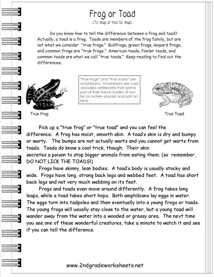 Printable Short Stories 2nd Grade