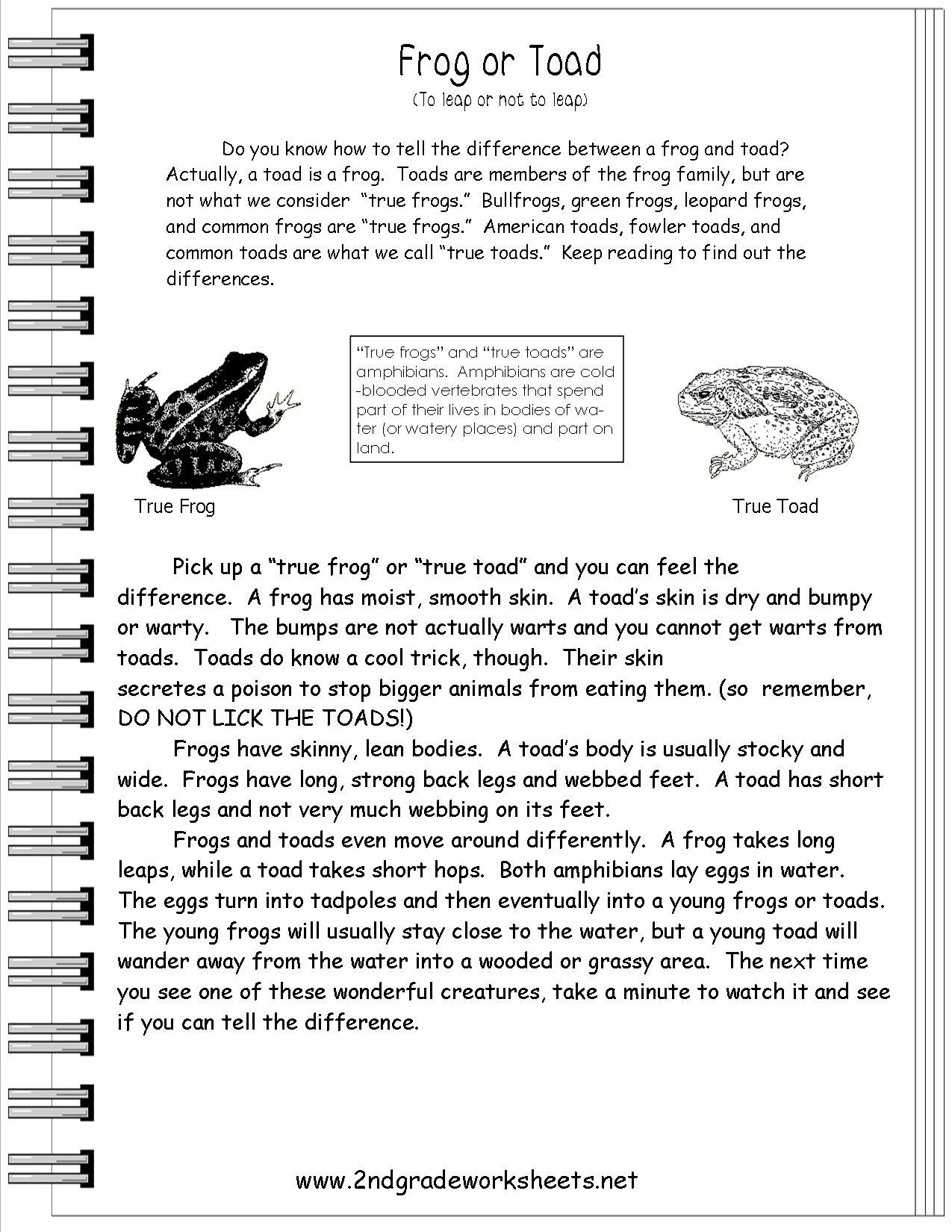 Printable Short Stories 2nd Grade Reading Comprehension Worksheets