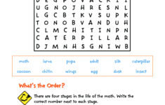 Grade 3 Reading Comprehension Volume 3 Twin Sisters