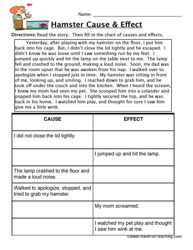 Hamster Cause And Effect Worksheet Cause And Effect Worksheets Third 
