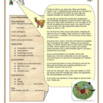 Horse Riding Holidays English ESL Worksheets For Distance Learning