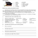 Images Of Reading Comprehension Worksheets High School Printable