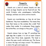 Insects Science Reading Science Reading Comprehension Reading