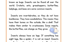 Insects Science Reading Science Reading Comprehension Reading