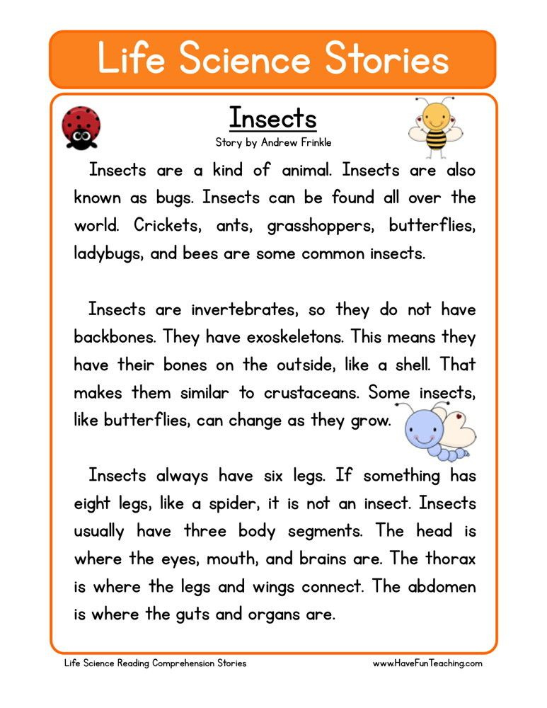 Insects Science Reading Science Reading Comprehension Reading 