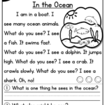 Level D Reading Comprehension Passages And Questions Set Two A