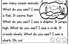 Level D Reading Comprehension Passages And Questions Set Two A