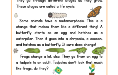 Life Cycles Reading Comprehension Worksheet