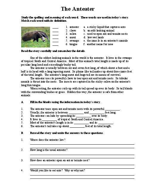 Middle School Reading Comprehension Worksheets Free Worksheets Samples