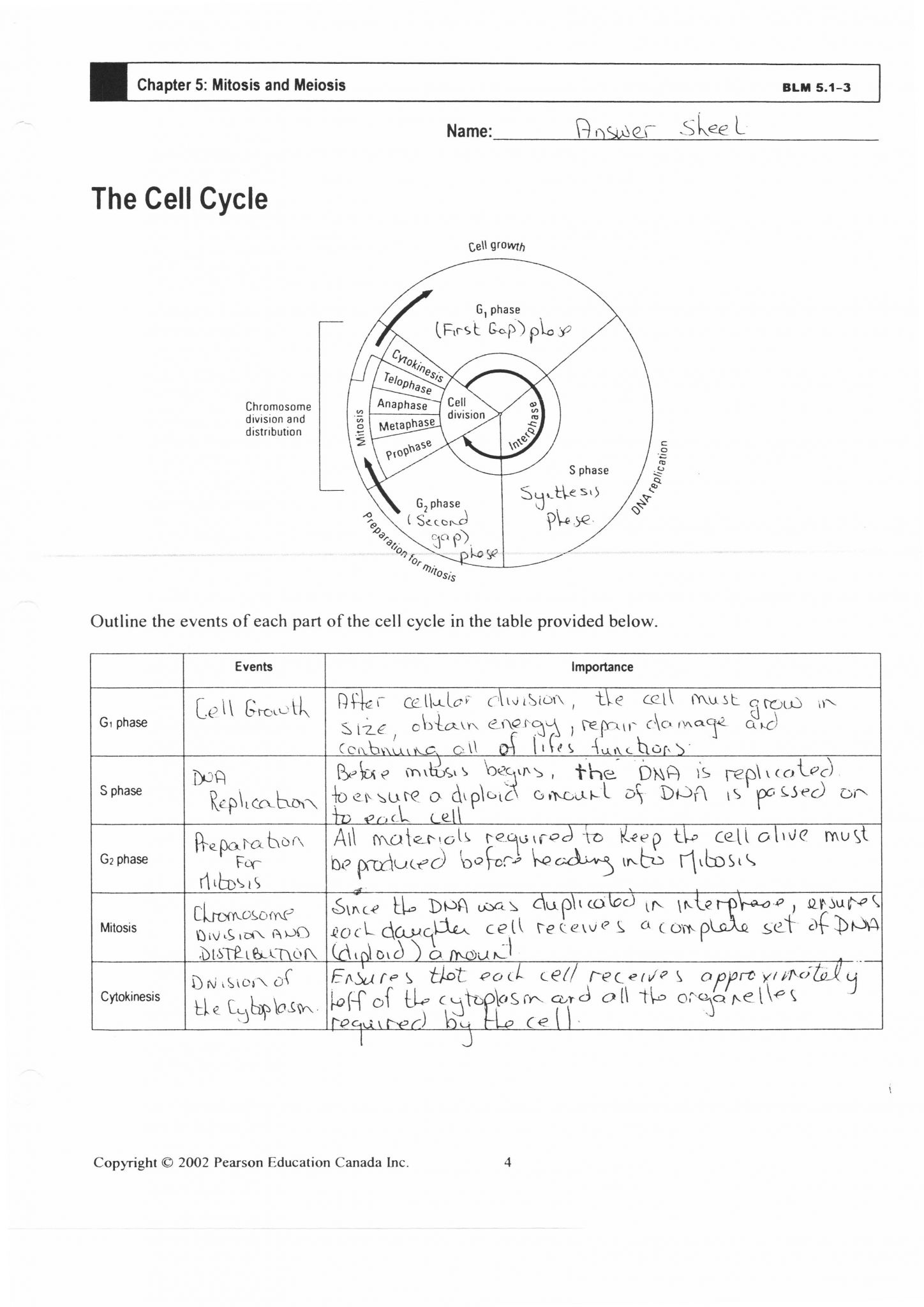 Meiosis Reading Comprehension Worksheet Answer Key Reading Comprehension Worksheets