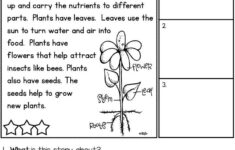 Primarily Plants Unit For K 1 Two Week Science Math And Literacy Unit