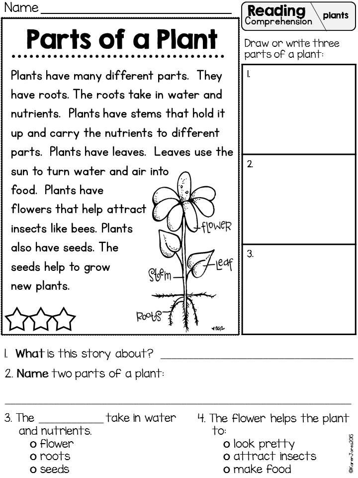 Primarily Plants Unit For K 1 Two Week Science Math And Literacy Unit 