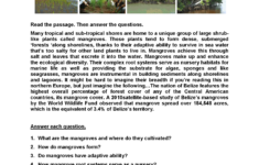 Printable 6th Grade Reading Comprehension GoodWorksheets