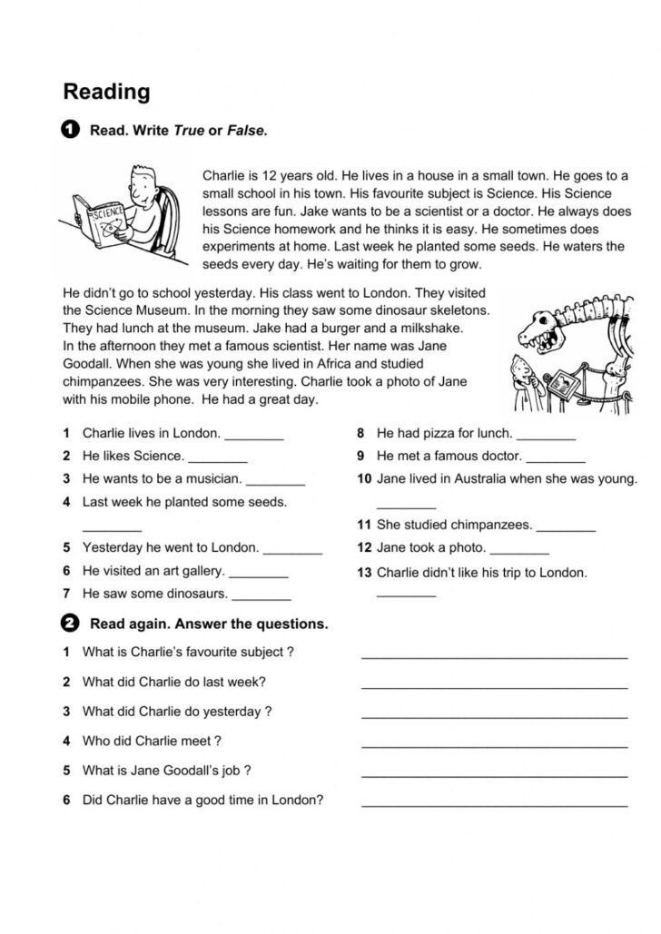 Reading Comprehension Worksheet Grade 6
