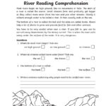 Reading Comprehension 3 Worksheet