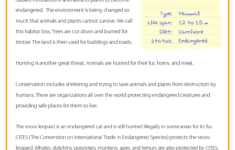 Reading Comprehension Conservation